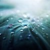 雨上がりのゴルフ場