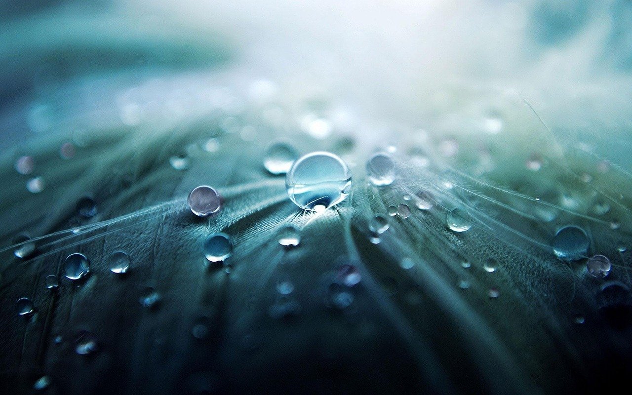 雨上がりのゴルフ場