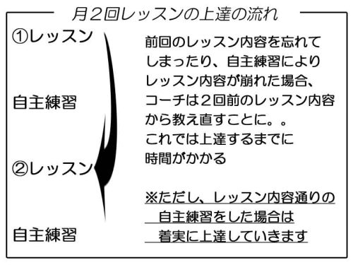 月2回レッスンの上達の流れ