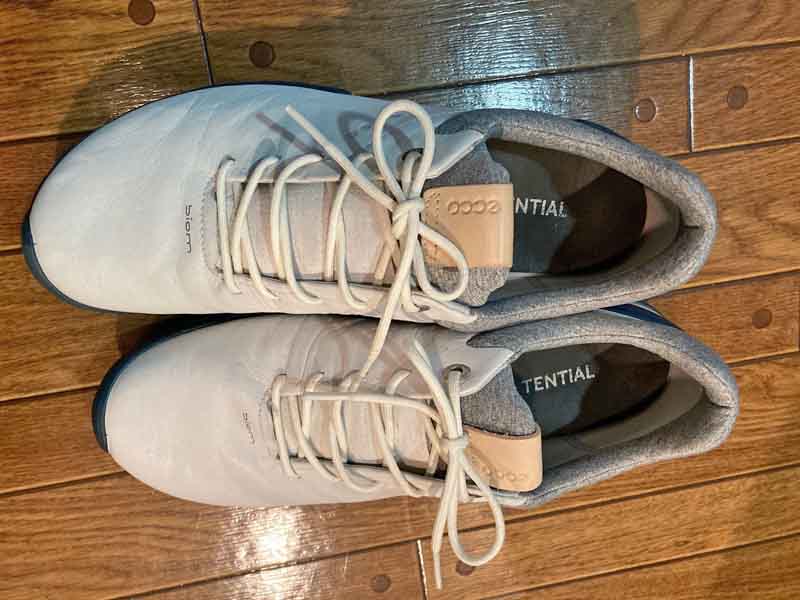 テンシャルインソールとエコーのゴルフシューズ
