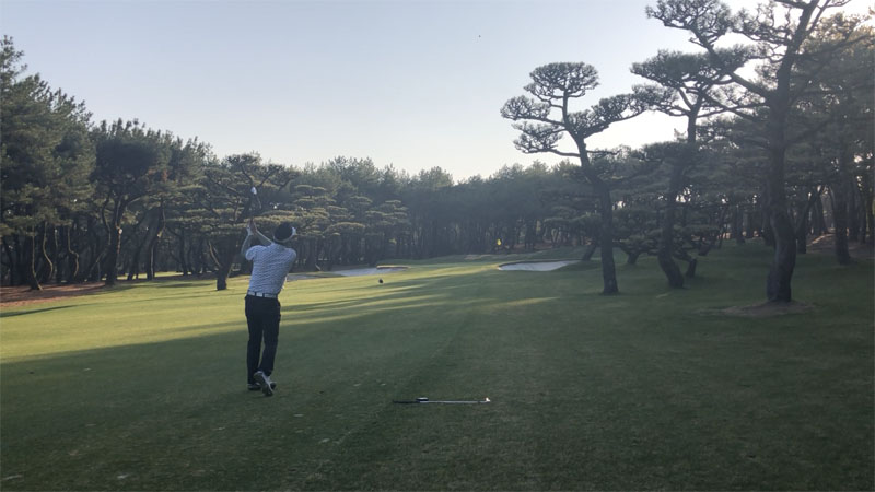 フェニックスカントリーの口コミ